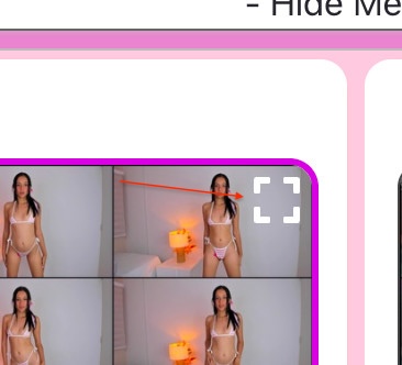 CaptureGem review interface with expanded screenshot view showing detailed preview of Flirt4Free recording for closer inspection