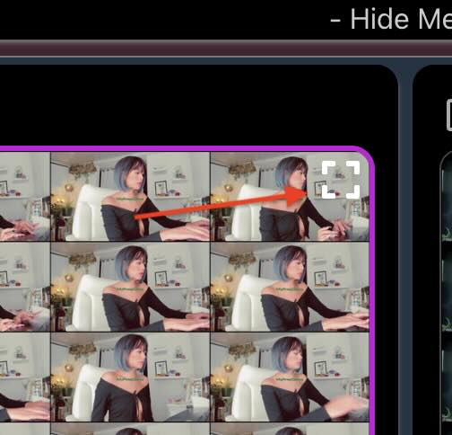CaptureGem review interface with expanded screenshot view showing detailed preview of MyFreeCams recording for closer inspection